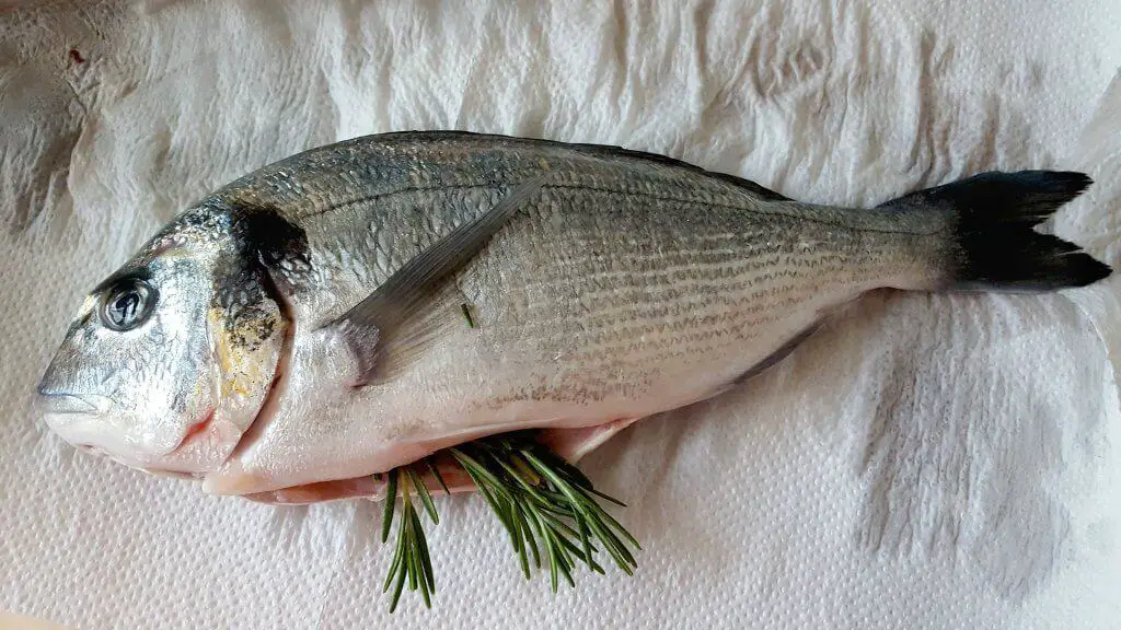 Gutted Fish Ready for Oven