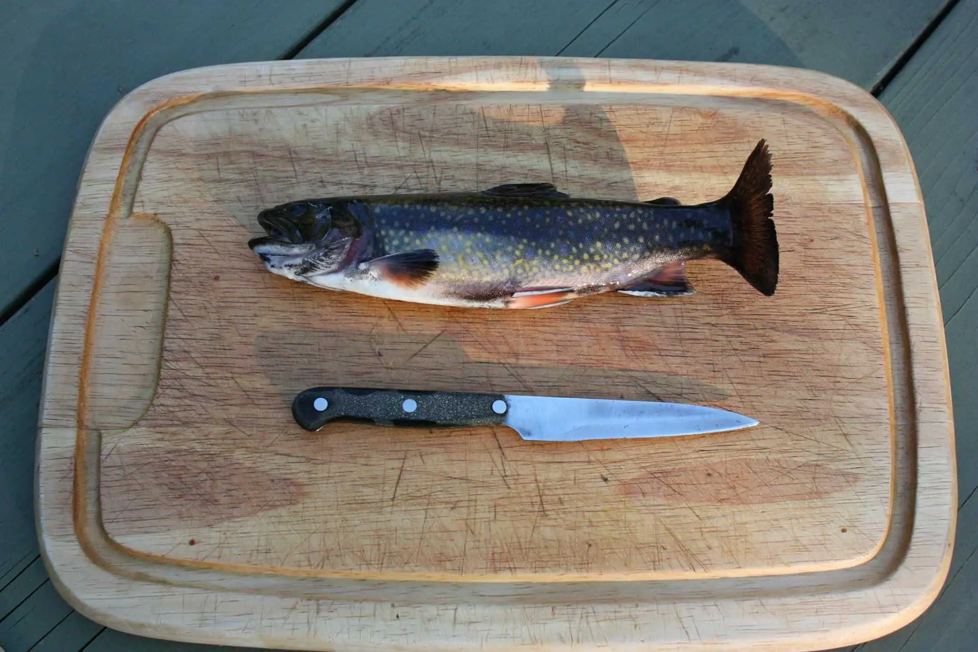 Cleaning a fish: rainbow trout about to be cleaned