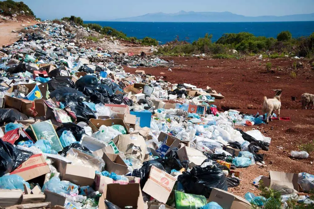 Trash at Ocean with goats walking nearby