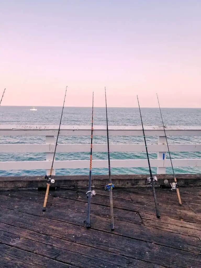 Six types of fishing rods at ocean with different types of fishing reels attached to them