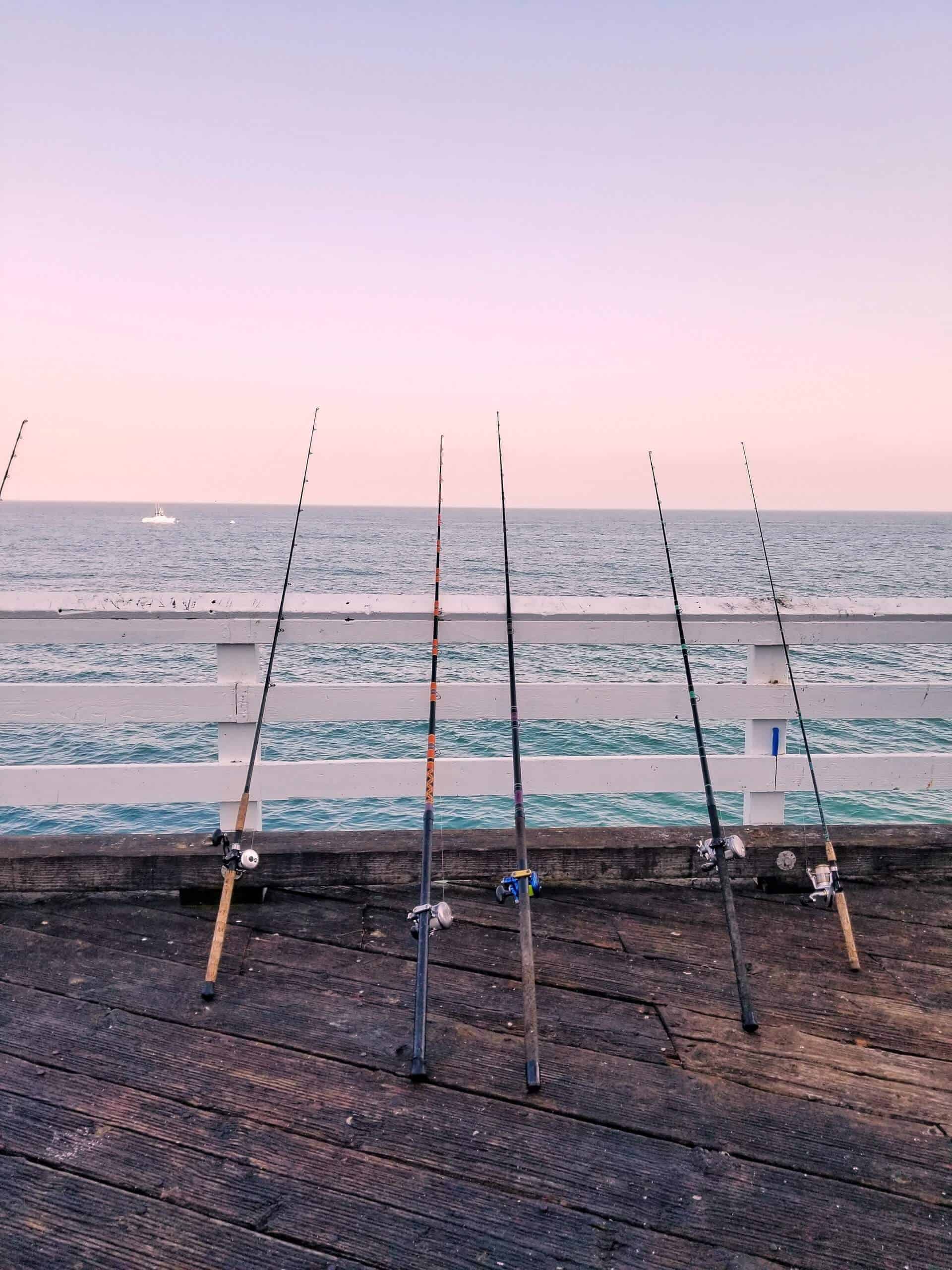 Six types of fishing rods at ocean with different types of fishing reels attached to them