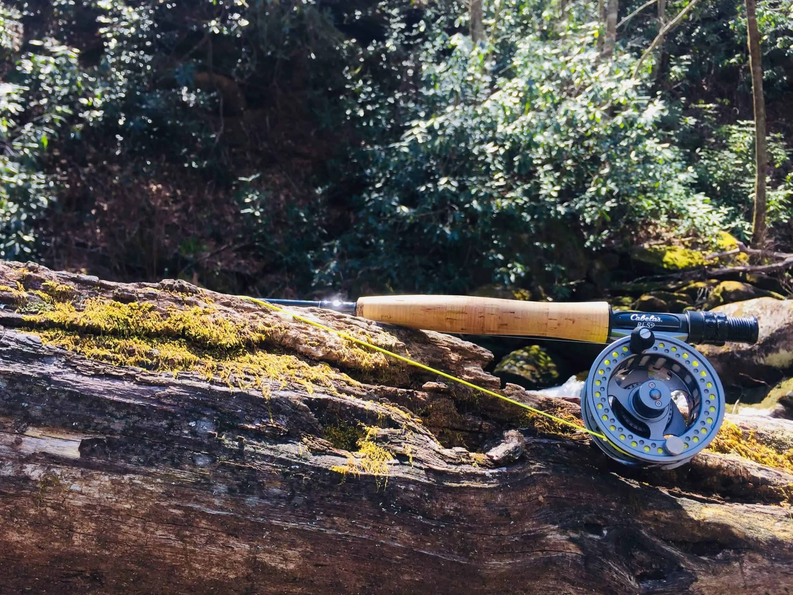 one of the best fly rods lying on tree