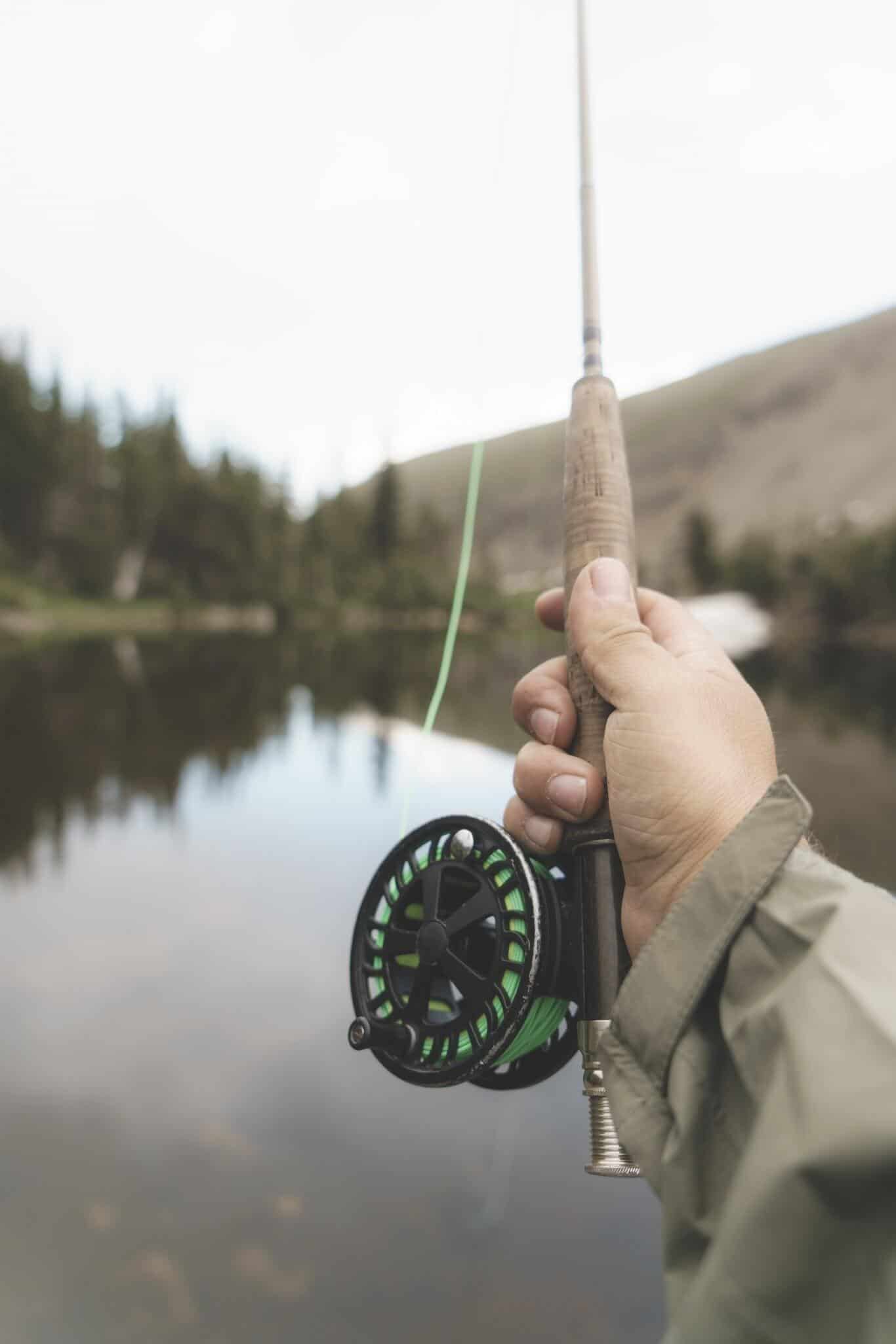 Best Ultralight Spinning Rod Review & Buying Guide
