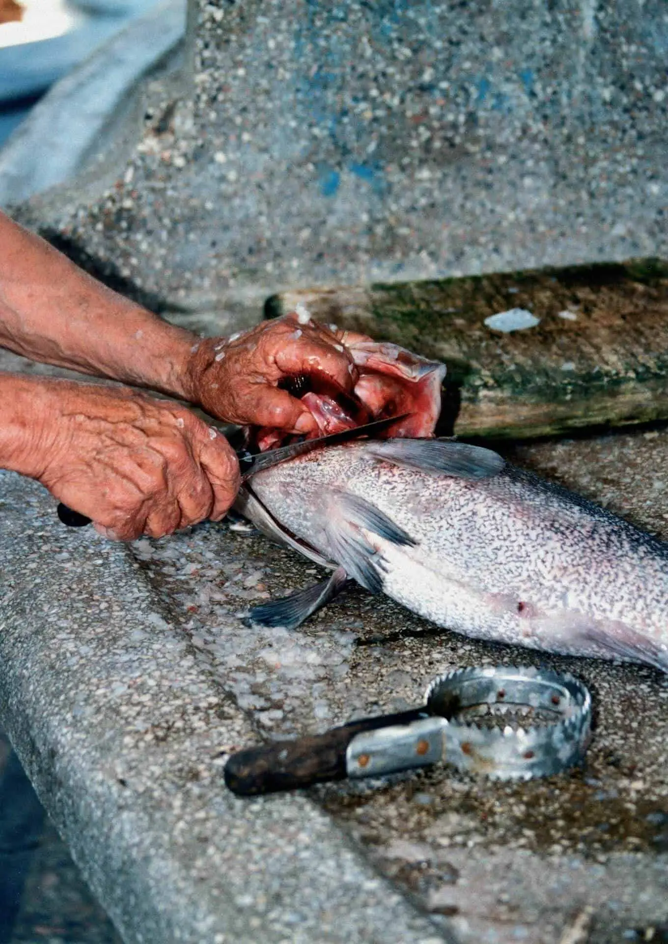 Woman using a knife to cut a fish with one of the best fish scaler lying next to it