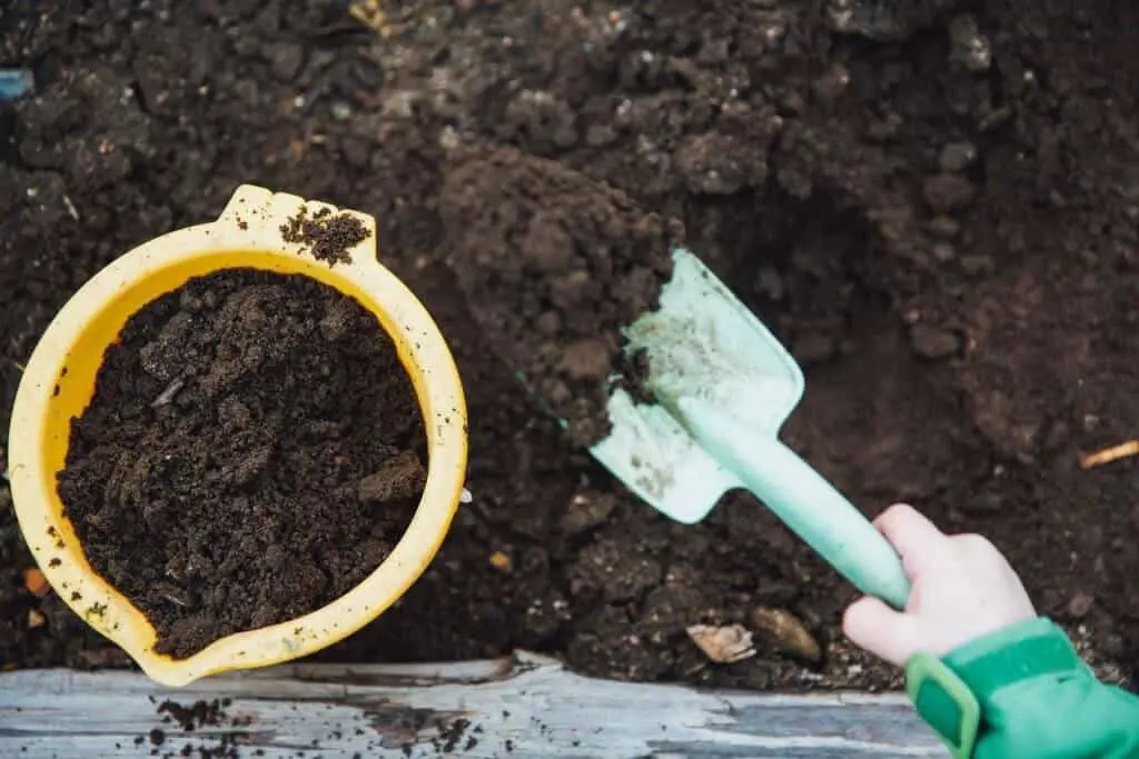 Person shoverling earth from a composting facility to a bin