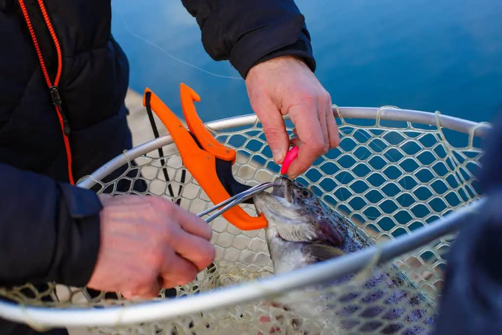 A man using one of the best fish lip grippers holds a trout