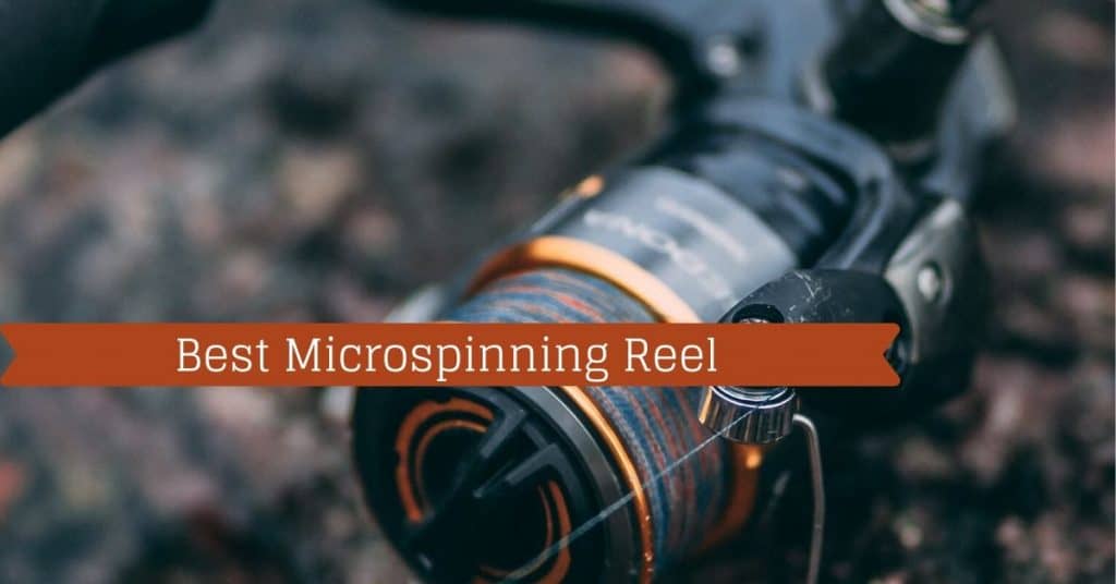 Best Microspinning Reel - Fishstainable