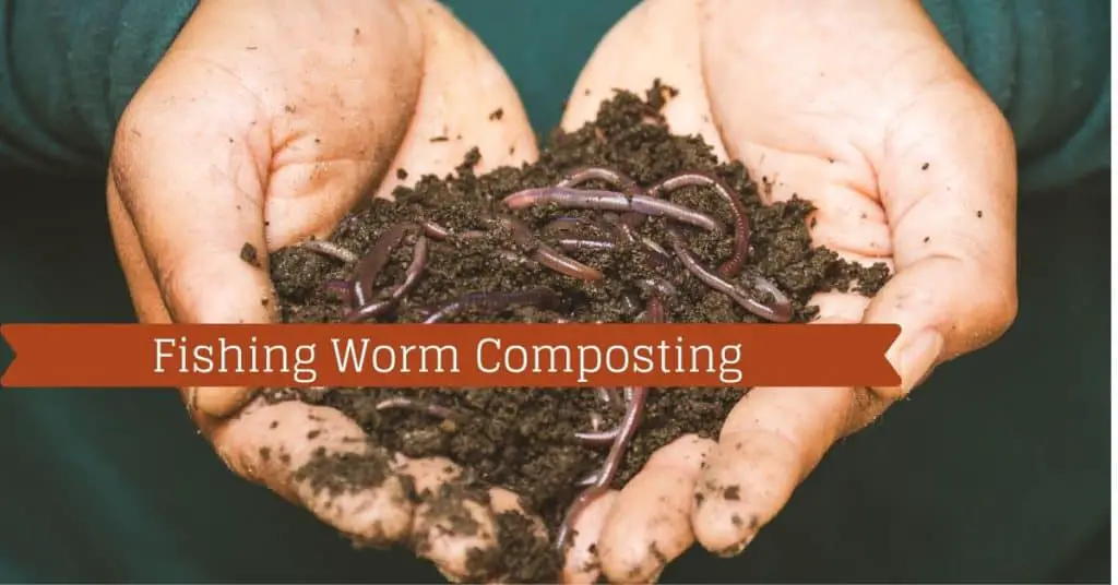 Fishing Worm Composting - Fishstainable