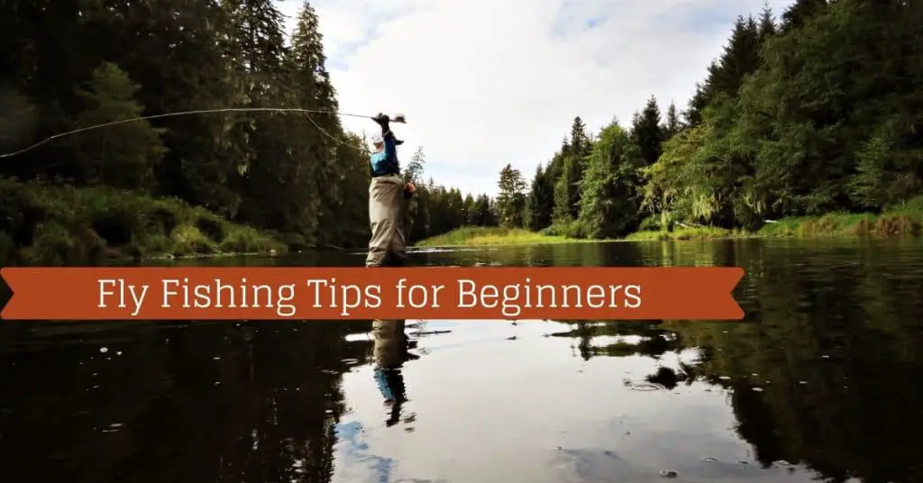 Fly Fishing Tips for Beginners - Fishstainable