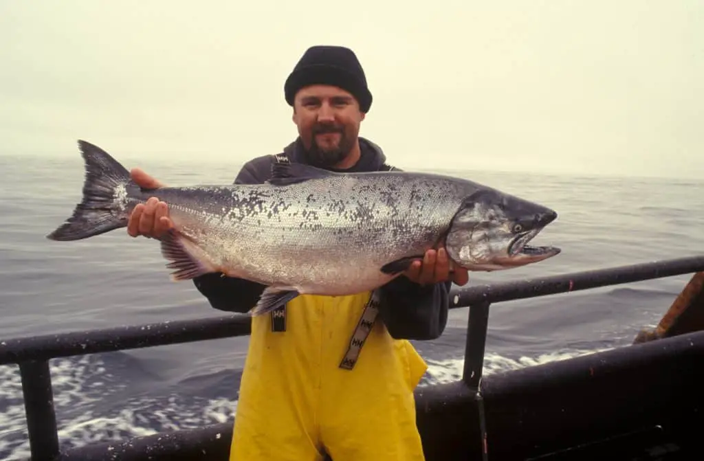 Salmon Fishing Tips & Tricks: A man holding a huge caught salmon in his hands