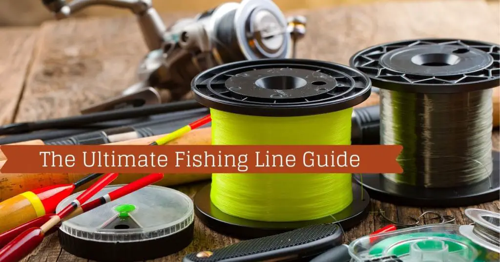 The Ultimate Fishing Line Guide - Fishstainable