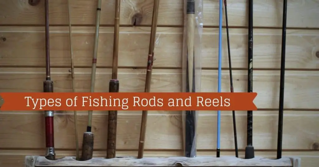 Types of Fishing Rods and Reels - Fishstainable