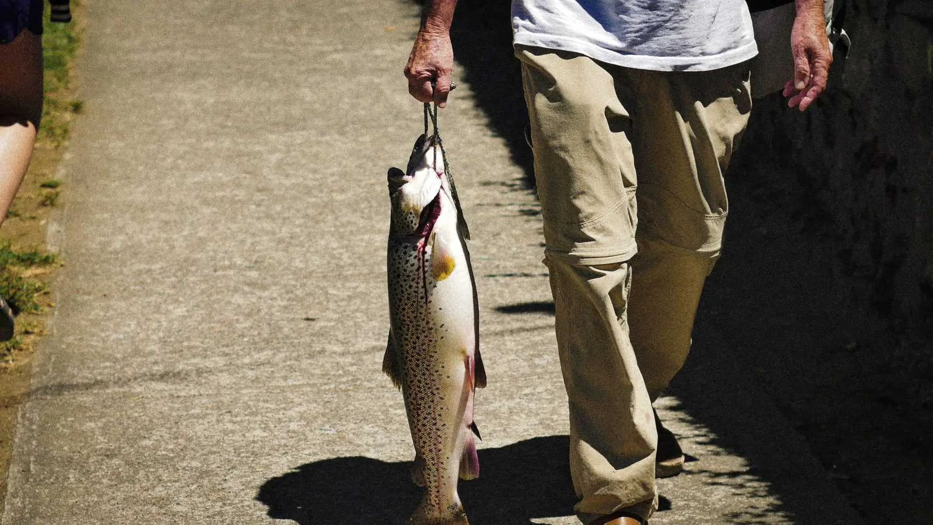 Man carrying his catch on a rope having caught them using the best fishing rod for trout