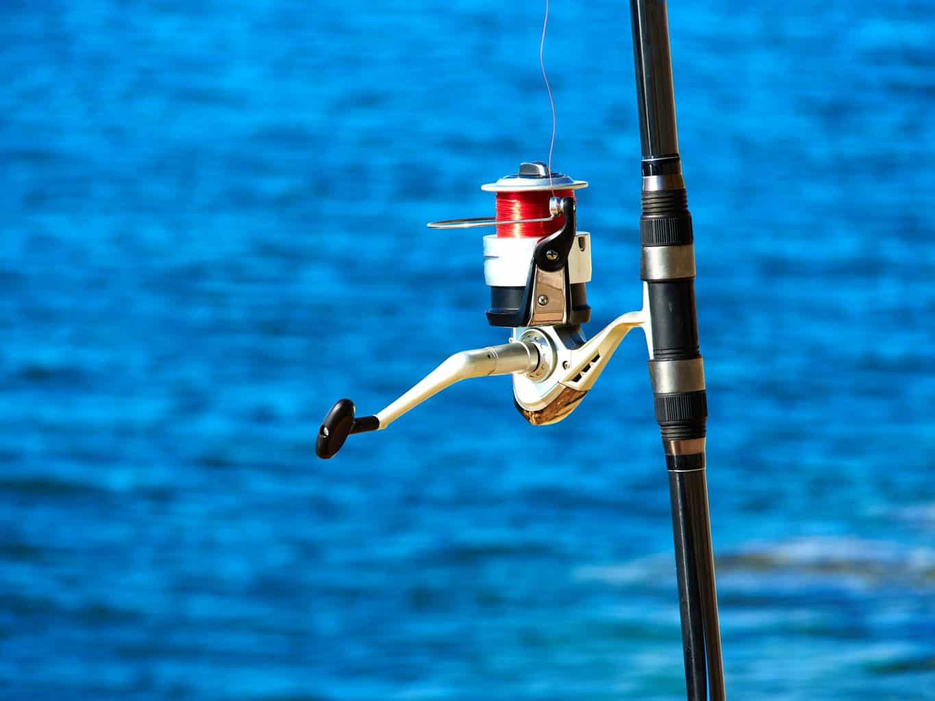 One of the best saltwater spinning reels under 100$ on display in front of the ocean