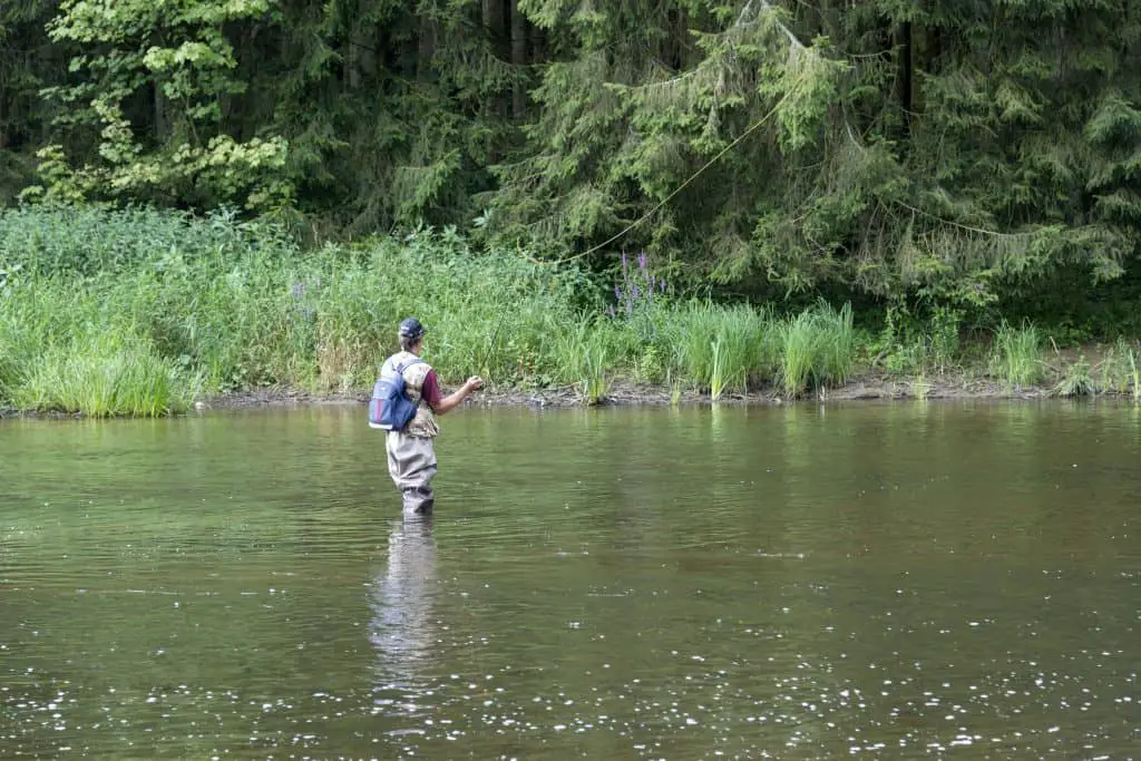 man busy with flyfishing in the belgium river semois using one of the best fiberglass fly rods