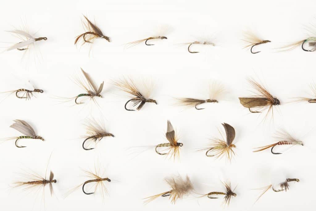 In the best fly tying books you will learn how to tie flies like this