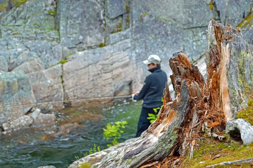 Fly fishing for crappie with a tree trunk in the foreground