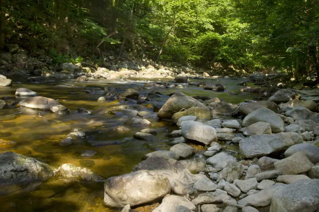 Beautiful scenic landscape with rocks on right bank and forest on left of rocky river; Location is Ken Lockwood Gorge. Area is South Branch of the Raritan Rive, reserved for fly fishing in New Jersey.