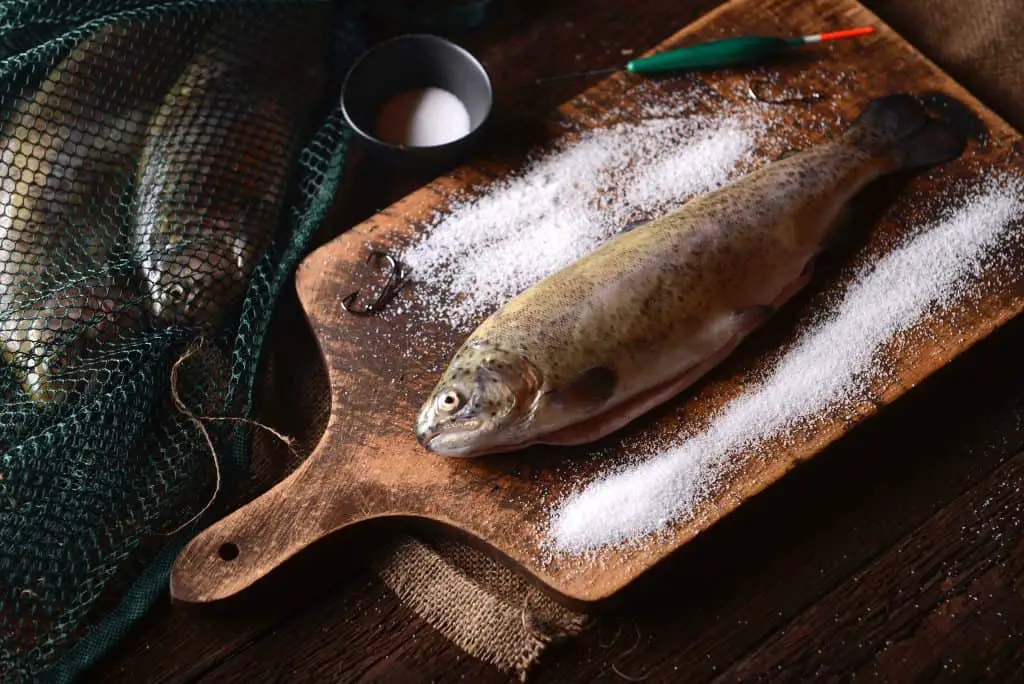 Fresh trouts on wooden background