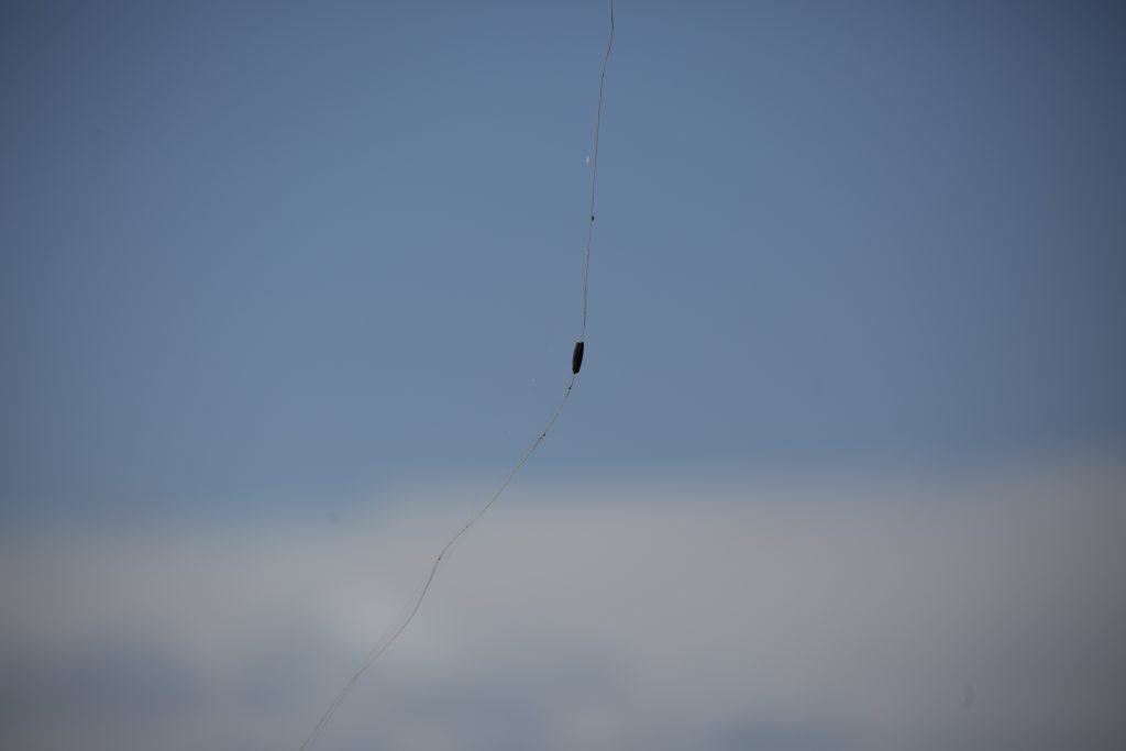 Fishing weight hung in tree at local lake