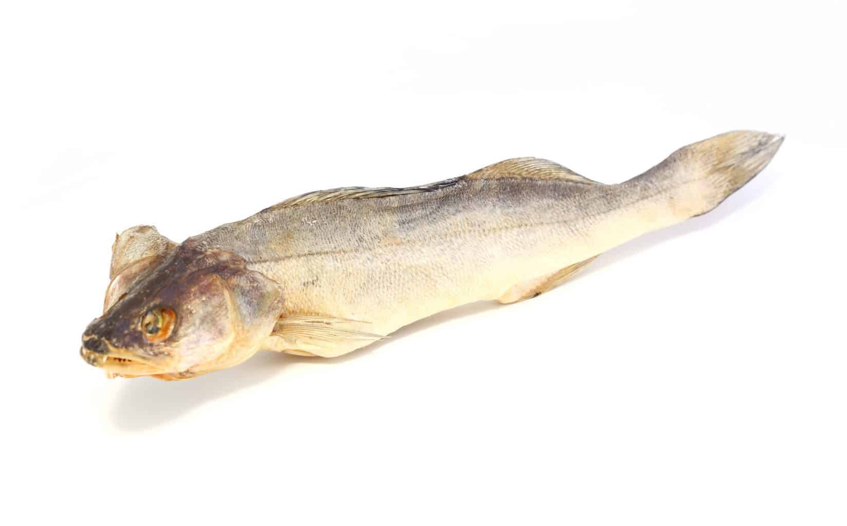 can you eat perch? Dried fish on a white background