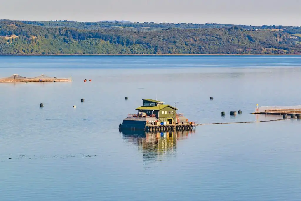 Aerial view of fishing hatchery at chiloe island, chile