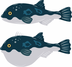 Can you eat blobfish? An illustration of blobfish