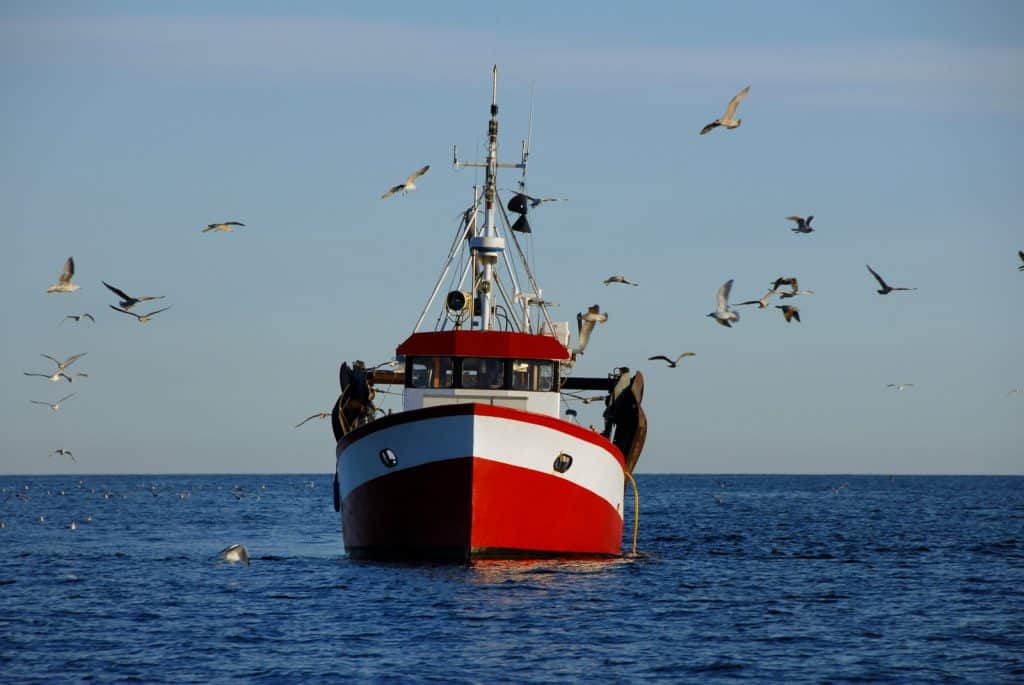 a trawler using longlines on the ocean